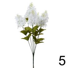 Kytica orgovánu mix s rôznymi farbami.