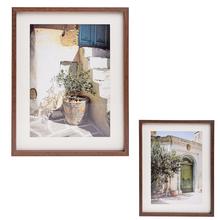 OBRAZ olivovník 30x40cm - Obrazy | FLORASYSTEM