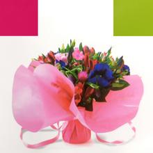 AKCE! 520071-75 FL.CT DE 10X10SPEEDO Taška pvc stahovací - FLORASYSTEM