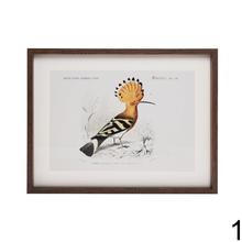 Obraz s motívom vtákov v ráme.