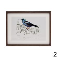 Obraz s motívom vtákov v ráme.