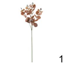 Konár eukalyptu Cinerea 4F 60CM v rôznych farbách.