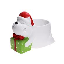 Obal mačka s darčekom, keramický kvetináč.