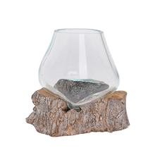 KOREŇ TEAK DREVO SO SKLOM 18X13X18CM - Dřevěné dekorace | FLORASYSTEM