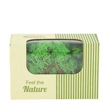 MOSS REINDEER ZELENÁ 50GR NATURE 14X8X10CM - FLORASYSTEM