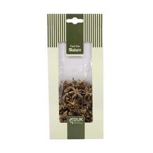 STAR ANISE NATURE GOLD- WASH 10X2X22CM - Suché vianočné | FLORASYSTEM