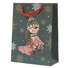 TAŠKA pap. vian V32x26+10cm - Taška M 32x26x10cm | FLORASYSTEM