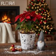 Vianočný obal s motívom zeleného škriatka.