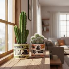 Obal na kaktus s retro dizajnom a potlačou šálky kávy.