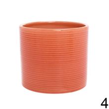 Obal na kaktus v rôznych farbách