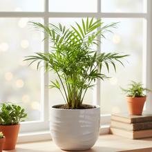 Biely keramický obal na kvety s vlnkovým vzorom.