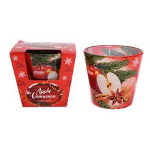 VOŇ.V SKLE APPLE+CINNAMON115GR/SAS9033/ - Voňavé a v skle | FLORASYSTEM