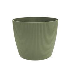 670 OBAL MAGNOLIA JUMPER SIVOZELENÝ 30XV25CM - Okrúhly dizajnový | FLORASYSTEM