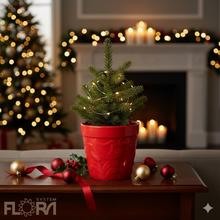 Červený obal s valčekom na kvety.