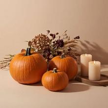 Podzimní dekorace - Sezónní doplňky a dekorace | FLORASYSTEM