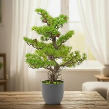 Umělé stromy - Umělé květiny | FLORASYSTEM