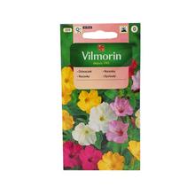 Nocenky jalapovitá 2g - Květiny letničky | FLORASYSTEM