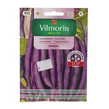 FAZOLE ZAHRADNÍ AMETHYST 30g - FLORASYSTEM