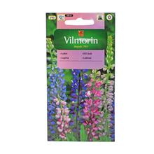 Lupina letnímu 5g - FLORASYSTEM