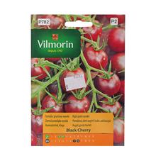 Rajčete zemního VYSOKÁ BLACK CHERRY - ostatné | FLORASYSTEM