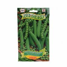 HRACH SK OSKAR 40g - FLORASYSTEM