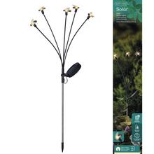 Solár zápich muška/6hV70cm - Záhradné osvetlenie | FLORASYSTEM