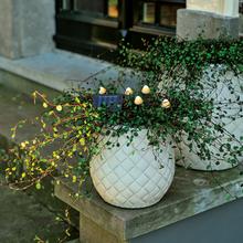 Solárny zápich s hubami, 12 kusov, trblietavý efekt.