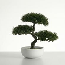 Umělé stromy - Umělé květiny | FLORASYSTEM