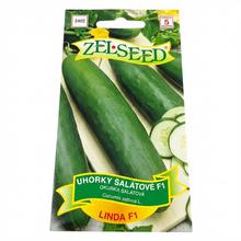 OKURKY ŠAL.LINDA F1 1g - ZELSEED | FLORASYSTEM