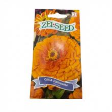 Cínie DÁHLIOKV ORANŽOVÁ 0,8g - FLORASYSTEM