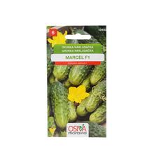 OKURKY Hroš. GOMES 1,1g 15,16 - ostatné | FLORASYSTEM