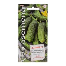 Okurka nakládačka ZUZANA F1 1,5g - DOBRÁ SEMENA | FLORASYSTEM
