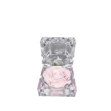 Ruža preparovaná v krabičke, ružová a biela.