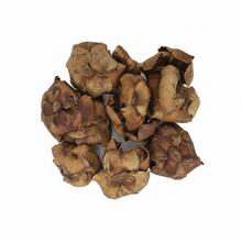 3472 Palm cap nat 9-12cm 12ks - Sušený materiál | FLORASYSTEM