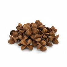 412 Land lotos natur 12ks - Sušený materiál | FLORASYSTEM