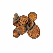 3407 Plastry melon 4-8cm 10ks - Sušený materiál | FLORASYSTEM