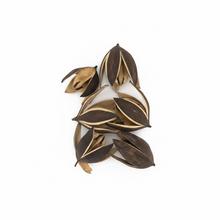 3404 Liliy 8-9cm natur 6ks - Sušený materiál | FLORASYSTEM