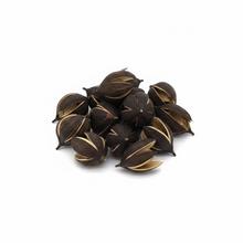 3824 Lily 3-6cm natur small 24ks - Sušený materiál | FLORASYSTEM