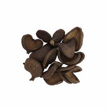 3396 Badam 10-13cm natur 12ks - Sušený materiál | FLORASYSTEM