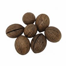 3424 Mintola 7-10cm natur 6ks - Sušený materiál | FLORASYSTEM