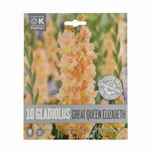 GLADIOL GREAT QUEEN ELIZABETH 10ks - Cibuloviny | FLORASYSTEM