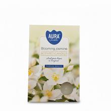Čajová voňavých / 6 květy jasmínu - S vůní 1/6 | FLORASYSTEM