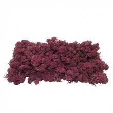 Preparovaný mach v boxe 500g so SOBOM