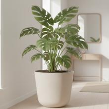 Biely obal Gracia tubus z ekologického dreva, 29,8 cm.