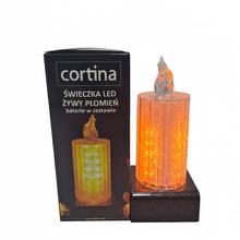 SVET.LED ŽIVÝ PLAMEŇ /2/25/WZP-BAT - Led světlo | FLORASYSTEM