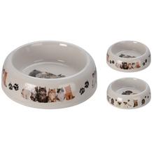 MISKA PRE PSA MELAMÍN DIA TOP 16cm - Domácí zvířata | FLORASYSTEM