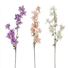 KS CLEMATIS MIX/3F 95CM - Větev květ | FLORASYSTEM