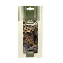 Lotus mini nature 10x5x22cm 10pc - FLORASYSTEM