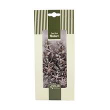 Star anise nature 10x5x22cm 50gr - FLORASYSTEM