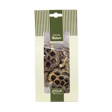 Lotus nature 10x5x22cm 4pc - Suché vianočné | FLORASYSTEM